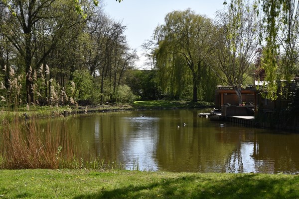 DSC_5849 (Aangepast).JPG